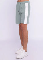 Load image into Gallery viewer, Sweat Shorts.

