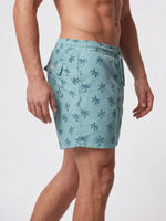 Load image into Gallery viewer, Swim Shorts
