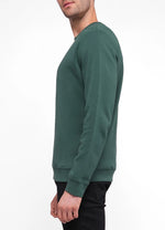 Load image into Gallery viewer, Sweatshirt.
