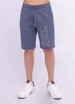 Load image into Gallery viewer, Sweat Shorts.
